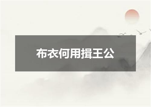 布衣何用揖王公