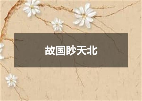 故国眇天北