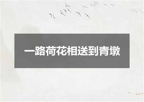 一路荷花相送到青墩