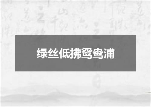 绿丝低拂鸳鸯浦