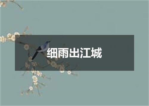 细雨出江城