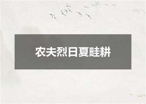农夫烈日夏畦耕