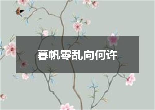 暮帆零乱向何许