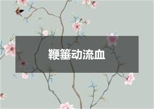 鞭箠动流血