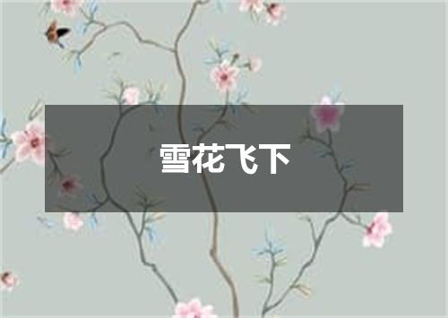 雪花飞下
