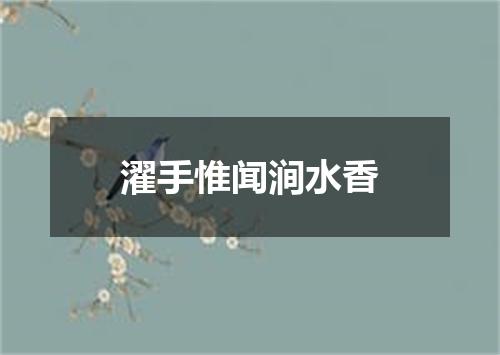 濯手惟闻涧水香