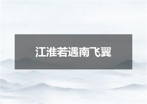 江淮若遇南飞翼