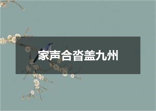 家声合沓盖九州