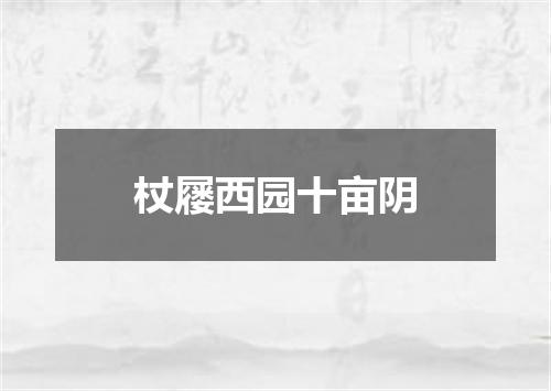 杖屦西园十亩阴