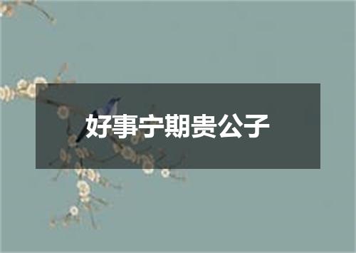 好事宁期贵公子