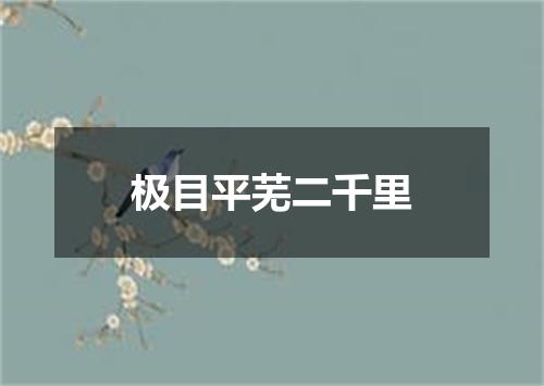 极目平芜二千里