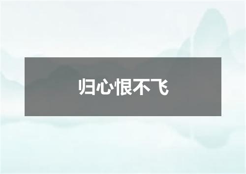 归心恨不飞