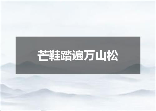 芒鞋踏遍万山松