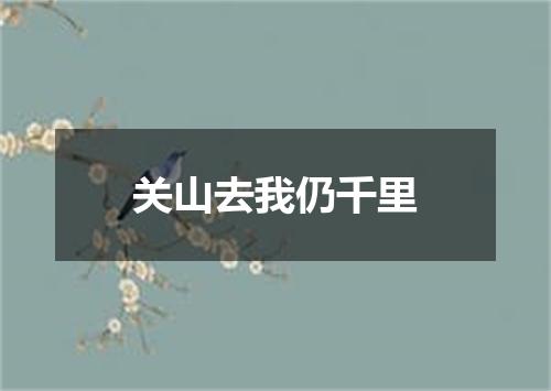 关山去我仍千里