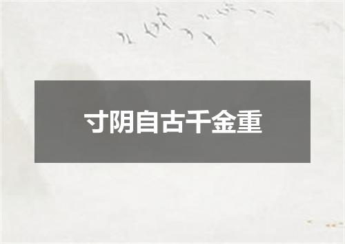 寸阴自古千金重