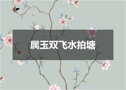 属玉双飞水拍塘