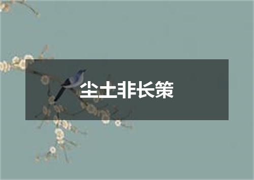 尘土非长策