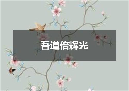 吾道倍辉光