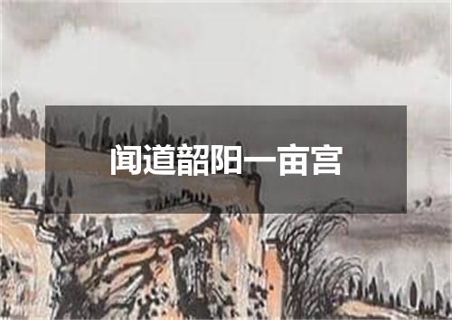 闻道韶阳一亩宫