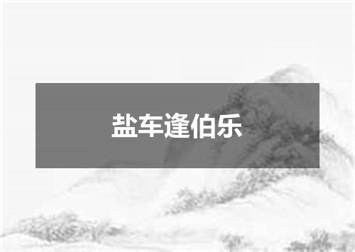 盐车逢伯乐