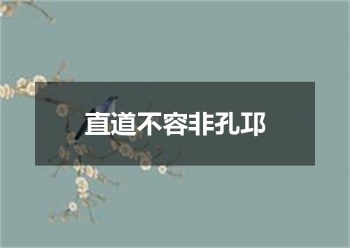 直道不容非孔邛