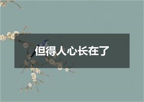 但得人心长在了