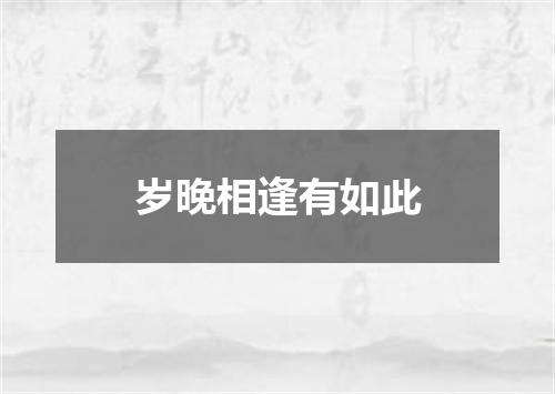 岁晚相逢有如此