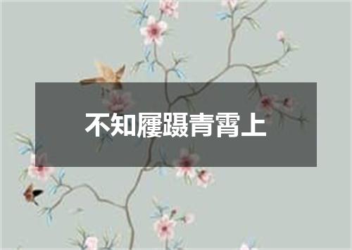 不知屨蹑青霄上
