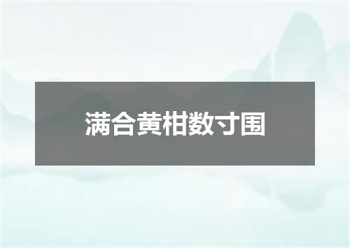 满合黄柑数寸围