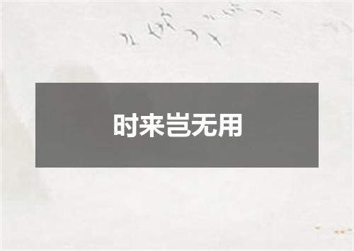 时来岂无用