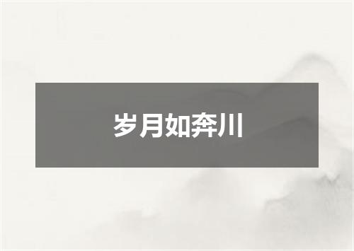 岁月如奔川