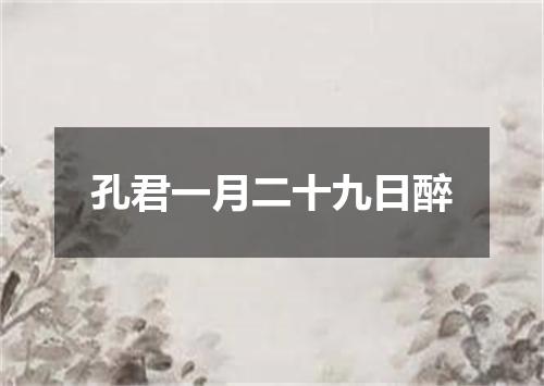 孔君一月二十九日醉