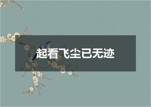 起看飞尘已无迹