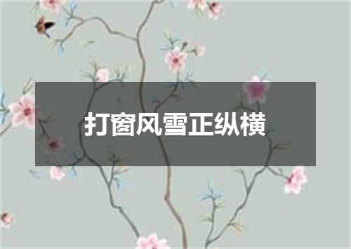 打窗风雪正纵横