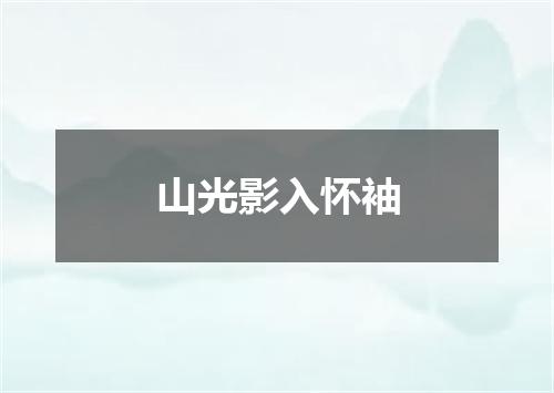 山光影入怀袖