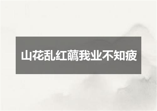 山花乱红蘤我业不知疲