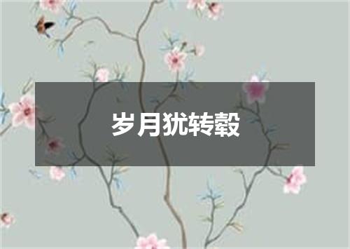 岁月犹转毂