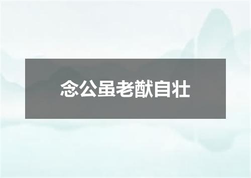 念公虽老猷自壮