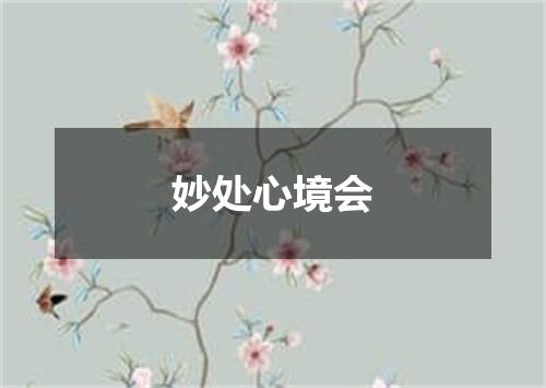 妙处心境会