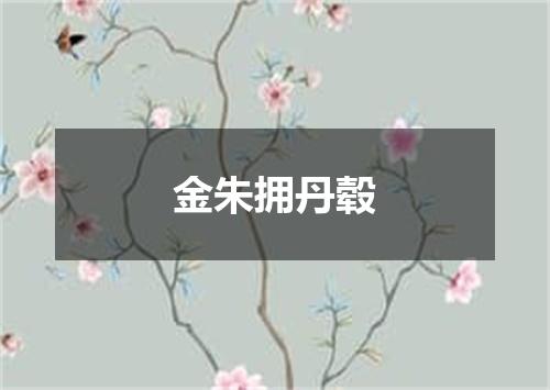 金朱拥丹毂