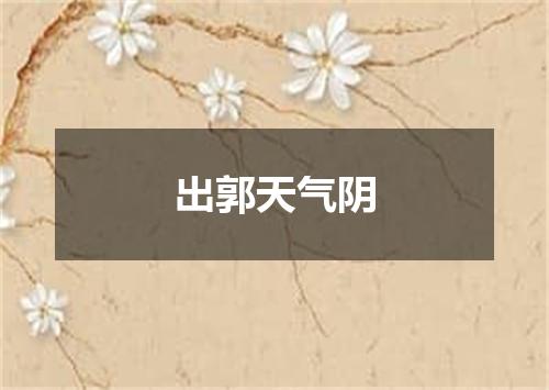 出郭天气阴