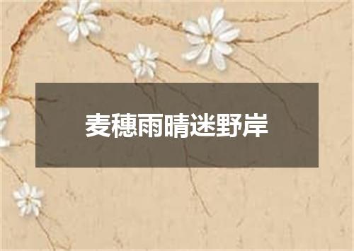 麦穗雨晴迷野岸