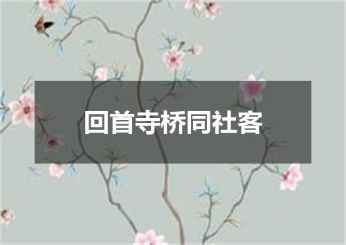 回首寺桥同社客