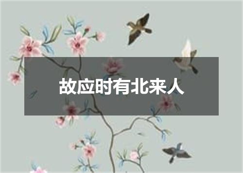 故应时有北来人
