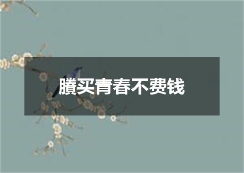 賸买青春不费钱