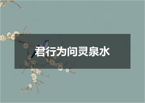 君行为问灵泉水