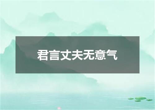 君言丈夫无意气