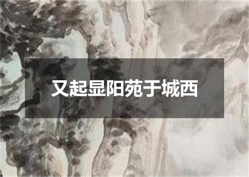 又起显阳苑于城西