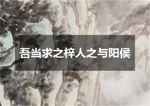 吾当求之梓人之与阳侯