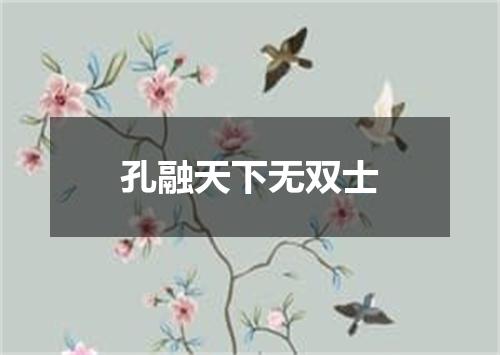 孔融天下无双士